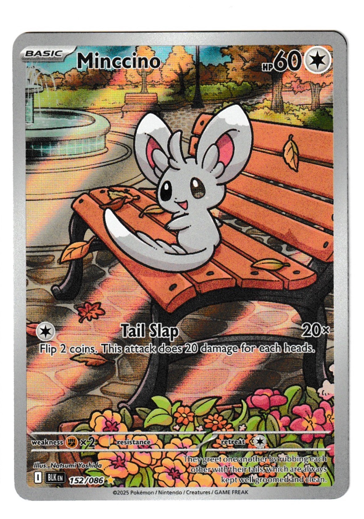 Minccino #152 - Pokémon Black Bolt