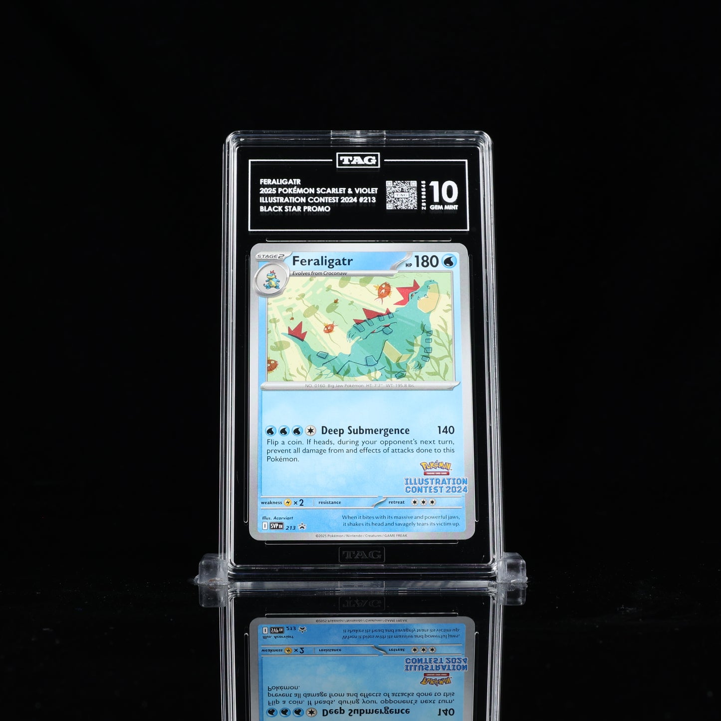 TAG 10 - Feraligatr #213 - Pokémon Promo